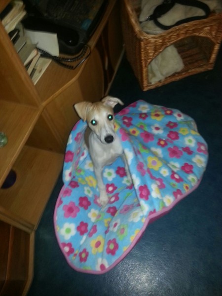 97b91d2d3d339ad55665680c309d5bd3