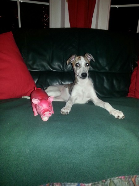 f7e2d7e93f71b8883245ade573dee6b1