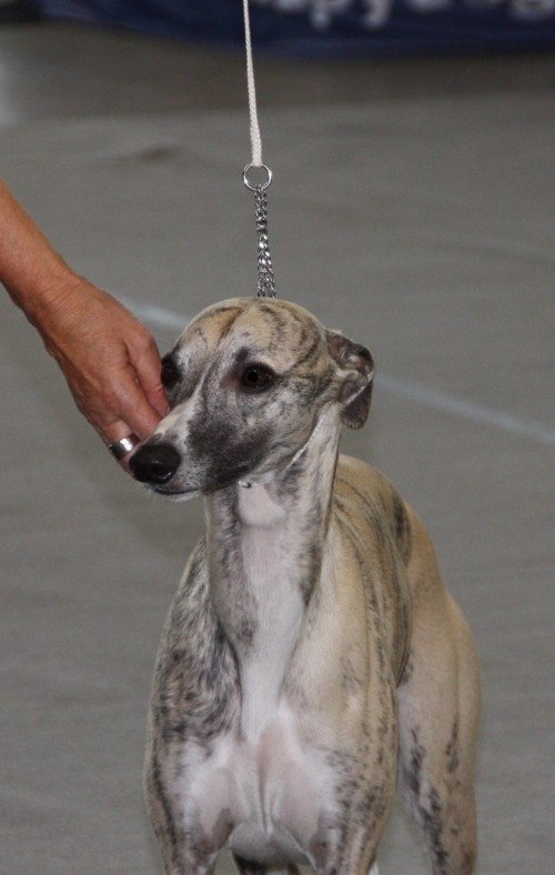 Stuttgart 5.et 6.10.2011 003 Kopie