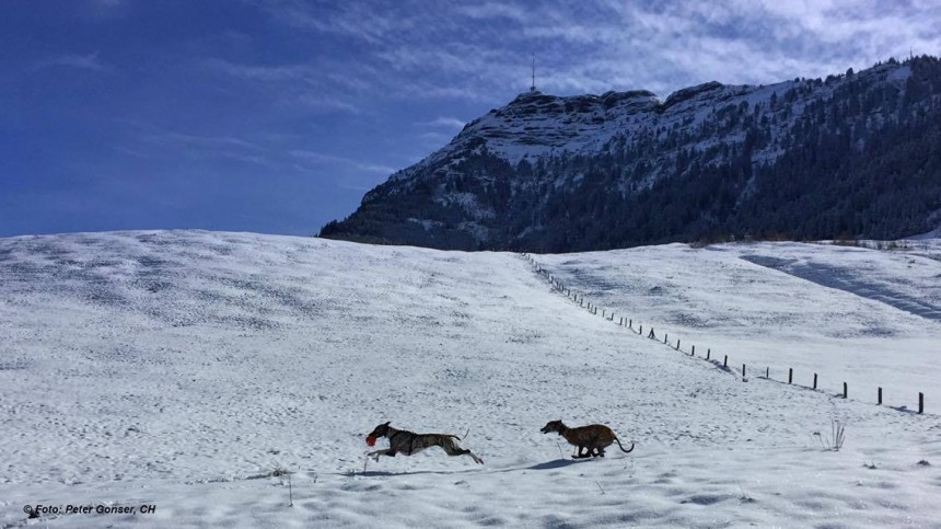 12773062_1022548661148250_1013768281_o