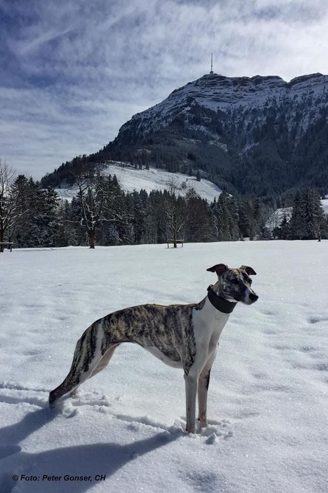 12784449_1022548637814919_1180384886_n