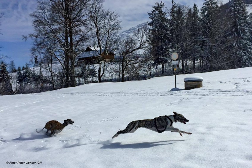 12787070_1022548654481584_1795692695_o