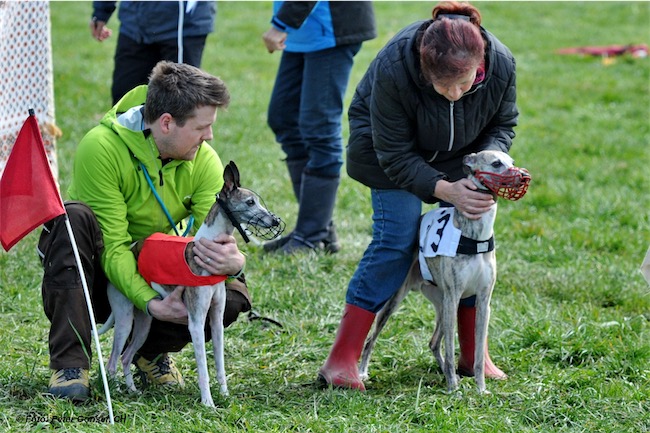 562_C-Riffi_160328_iPad-small