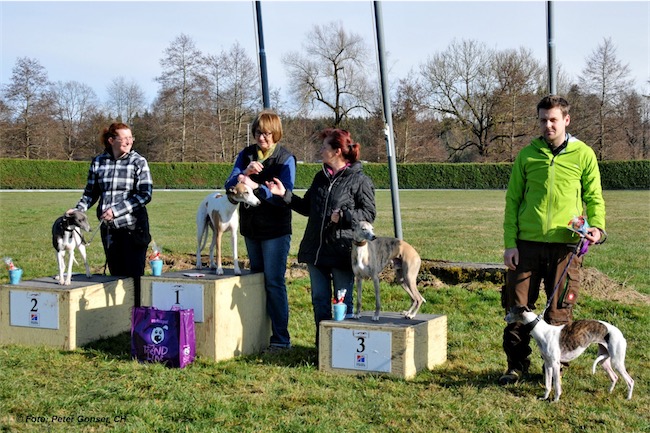 864_C-Riffi_160328_iPad-small