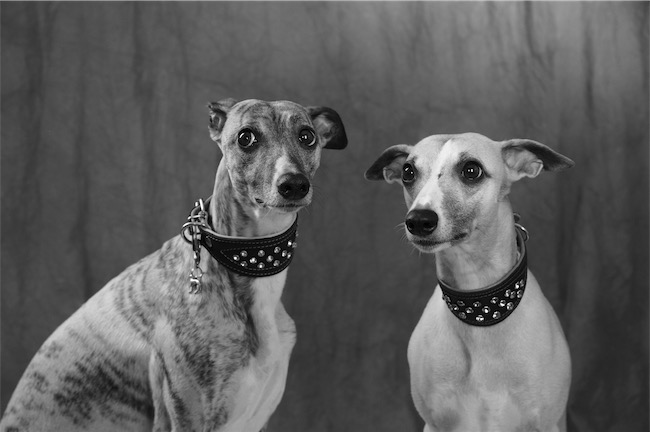 DSC_0049 Kopie-small