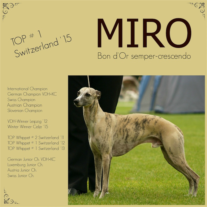 Miro_1_1-small