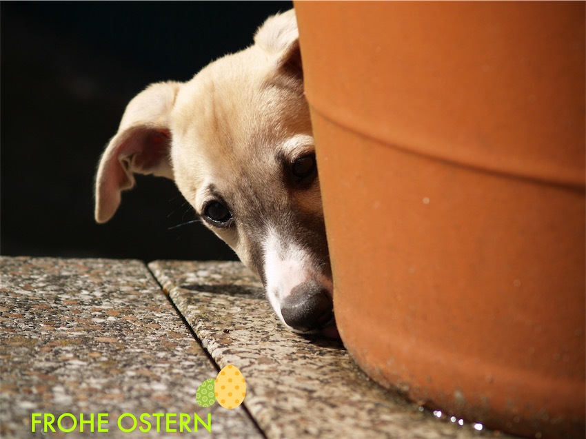 Ostern-small