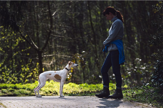 Nelly_09_04_2016_2-small