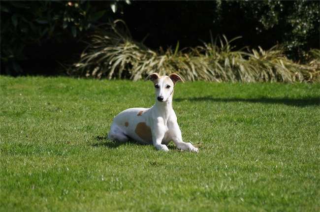 Nelly_6 Monate_1-small