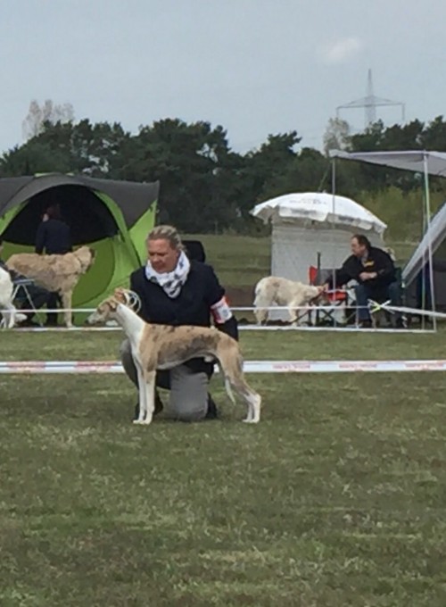 bd87c5dbf680da32343fe27d2ae83dc0