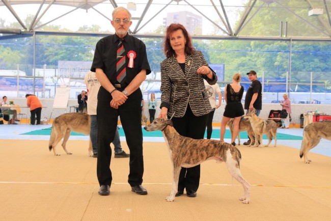 13221269_1723111744598117_2618135816993854837_o