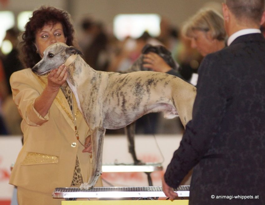 1276199_957671700951242_1556545215684835939_o