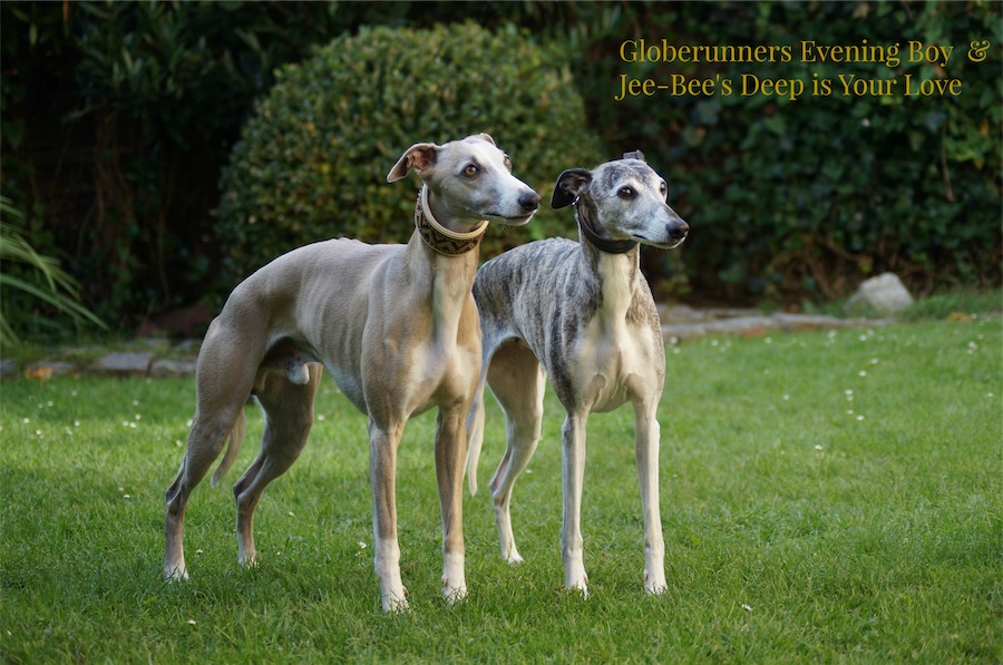 Kissy_Even_2016-small