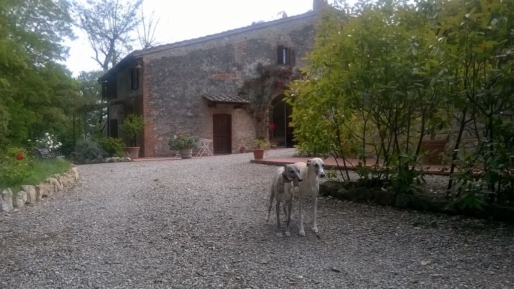 WP_20160524_10_05_33_Pro (1024x575)