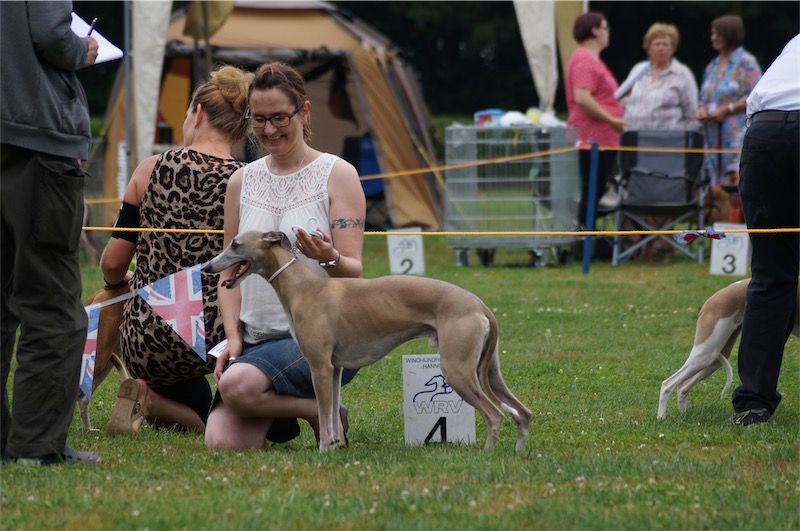 Even_JAS_2016_2-small