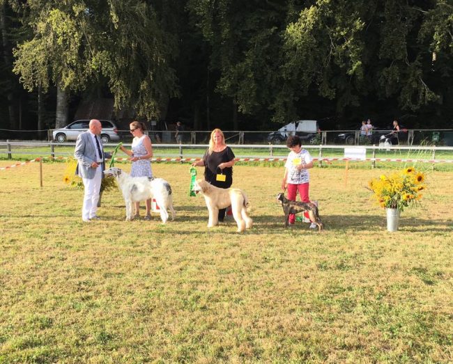 14088571_1762906533947904_4457362522187123852_n