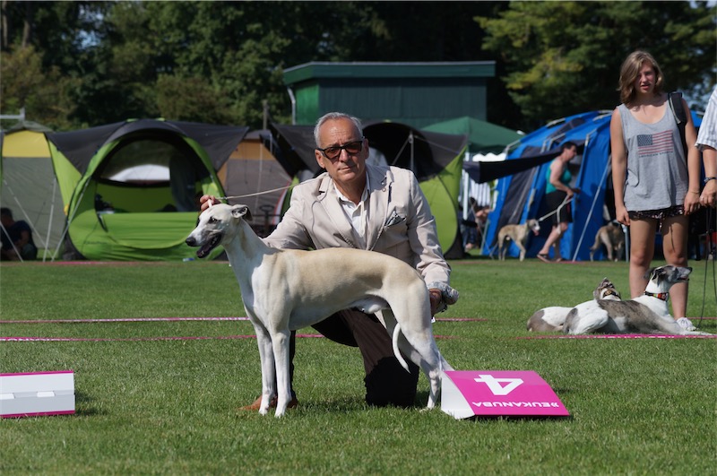 Gianni_Donau_1-small