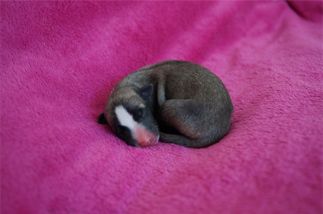 Jewel Quest_30.08.2016-small