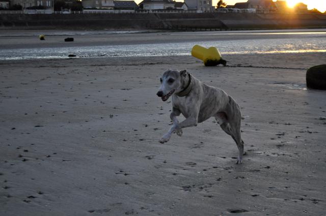 ????????????????????