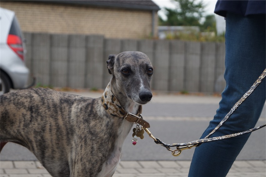 Besuch_18.09.2016_1-small