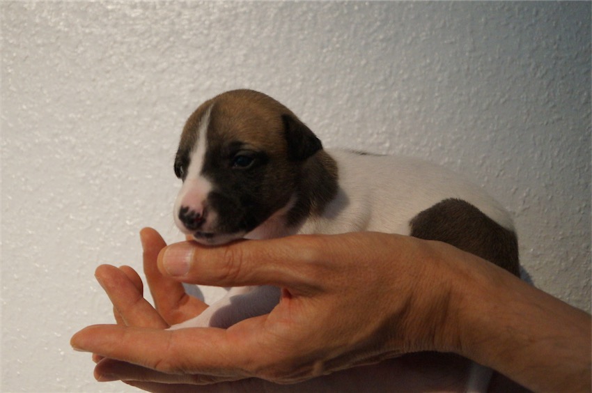 Besuch_18.09.2016_4-small