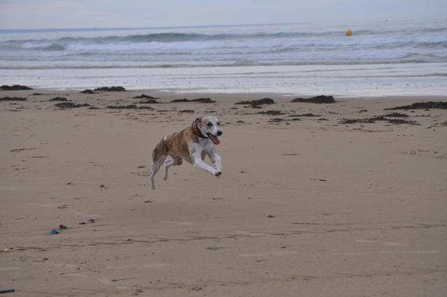 ????????????????????????????????????