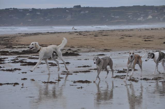 ????????????????????????????????????