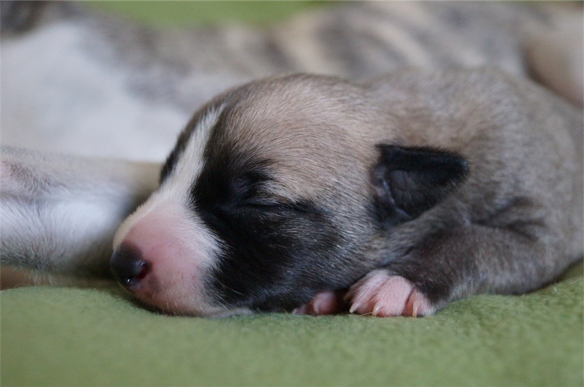 Jet_04.09.2016_1-small