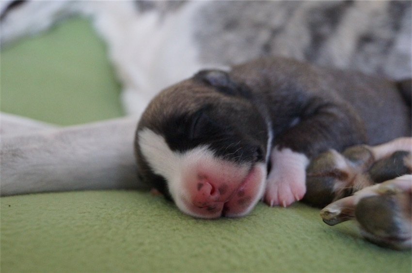 Jetan_04.09.2016_1-small