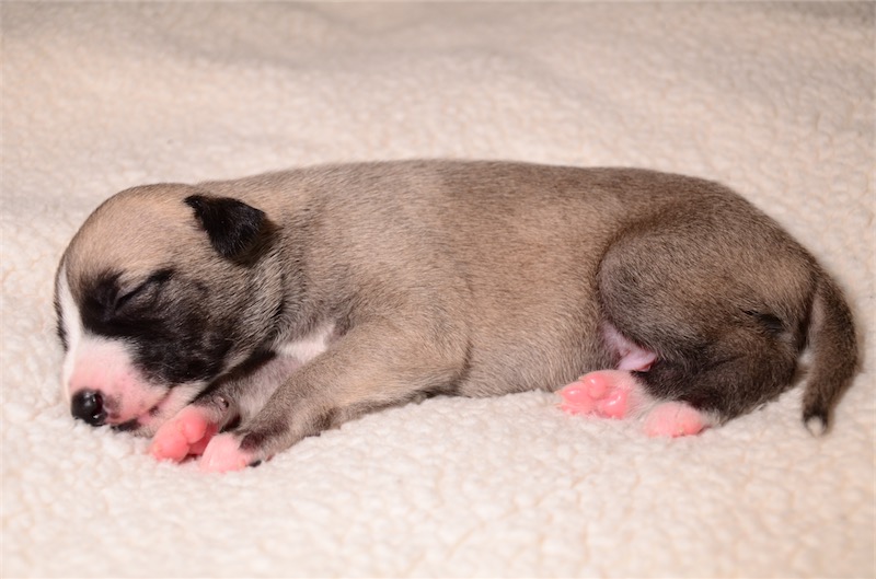 Jetpack_2Wochen_2-small