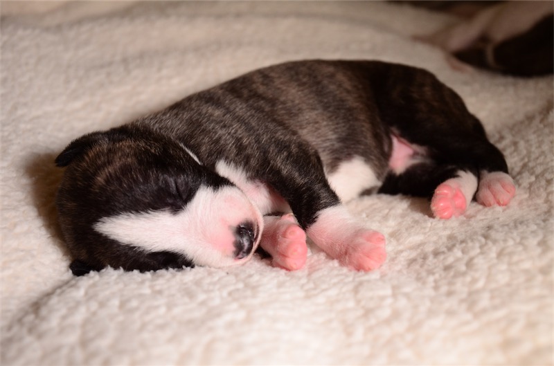 Jeu de Palet_2 Wochen_2-small