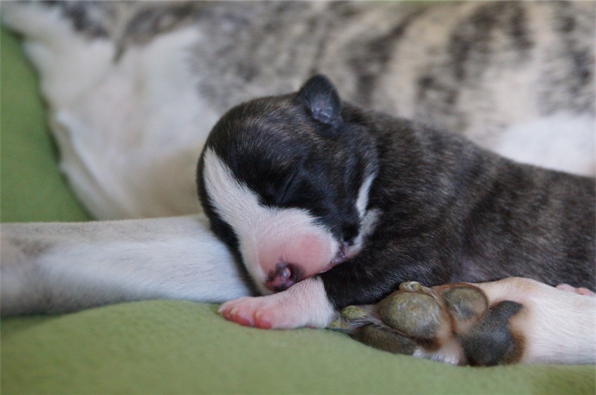 Jeu_04.09.2016_1-small