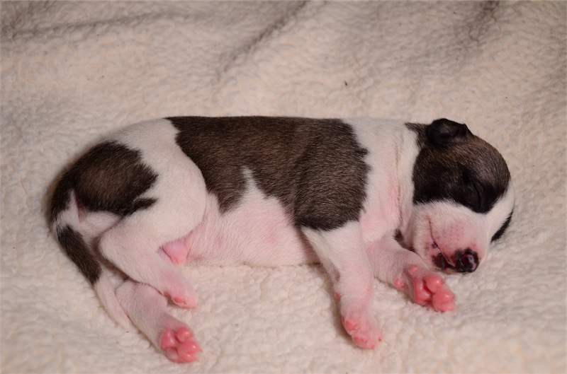 JungleParty_2Wochen-small