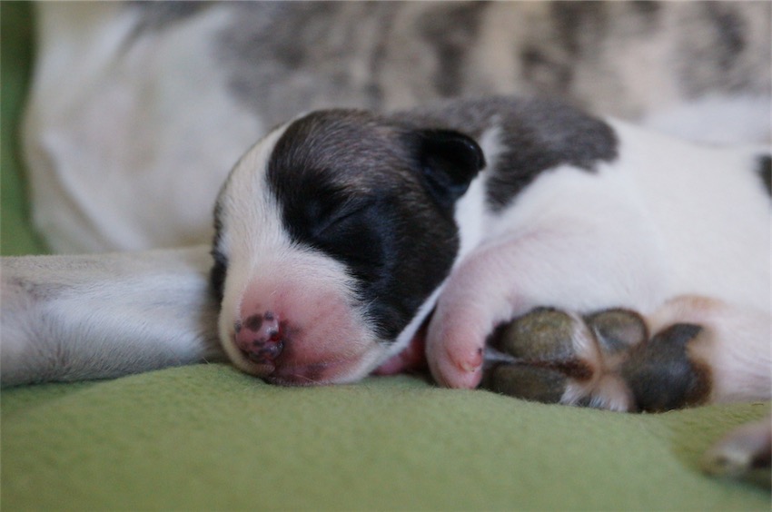 Jungle_04.09.2016_1-small