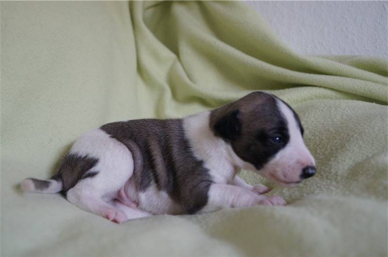 Jungle_15.09_2-small