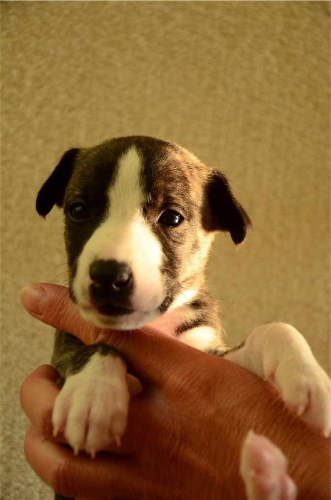 portrait_jeu_4-wochen-small