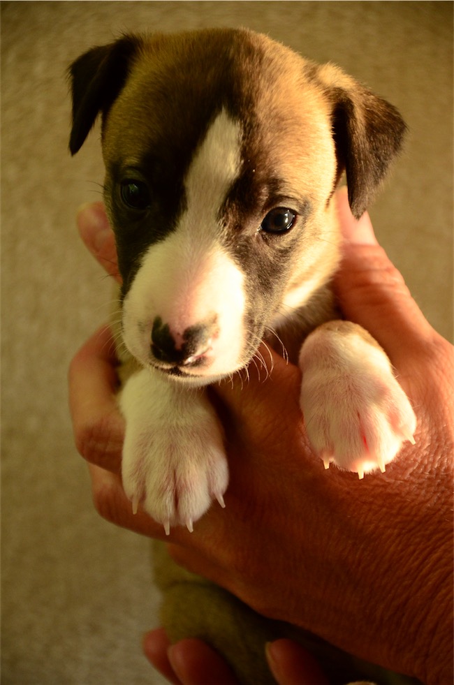 portraet_jetan_4-wochen-small