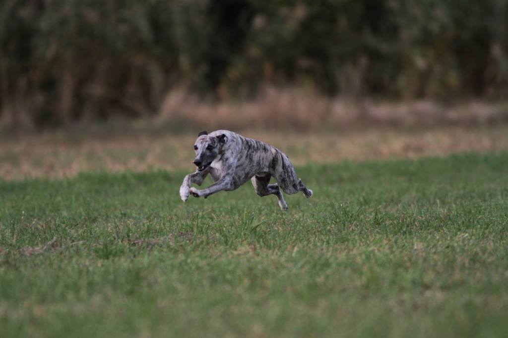 14712623_998028510342725_140767018718067856_o