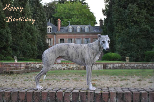 ????????????????????????????????????