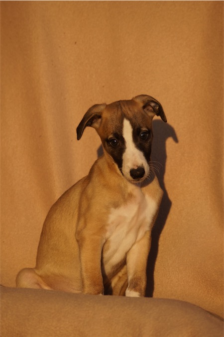 justus_8wochen-small