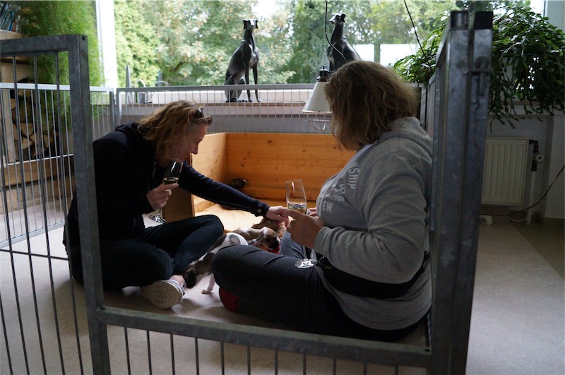 welpentaufe_woody-small