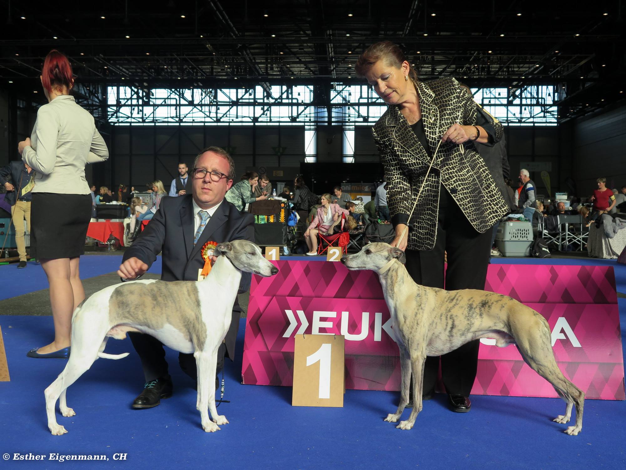 15068907_1802784946630796_2263017913373764336_o