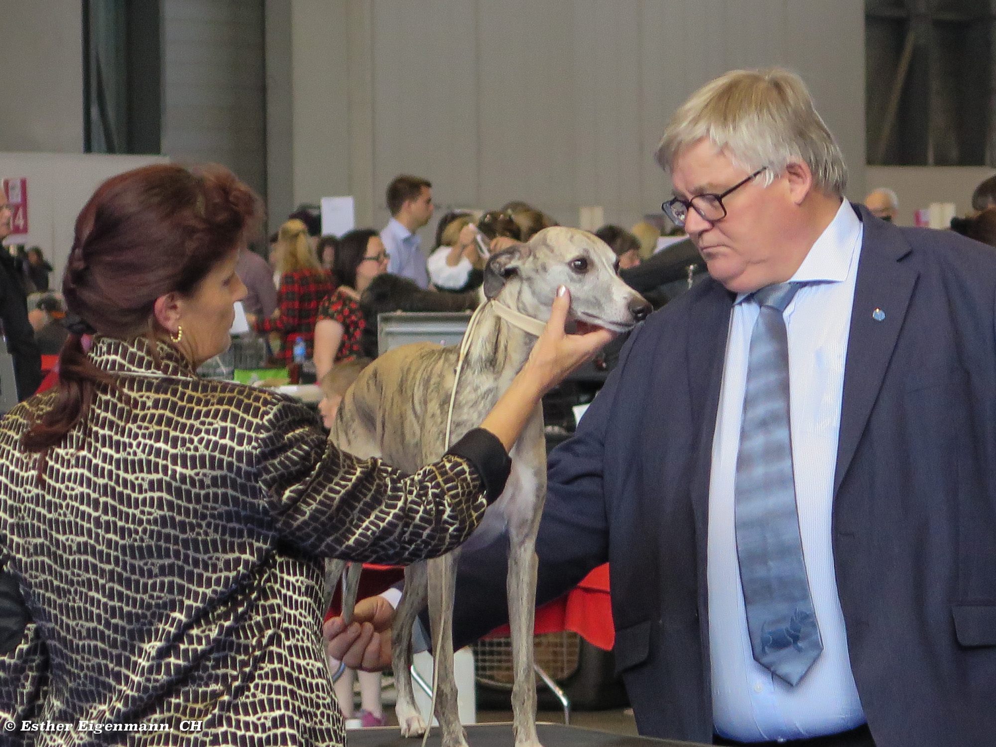 15167487_1802785136630777_2444426389043895878_o