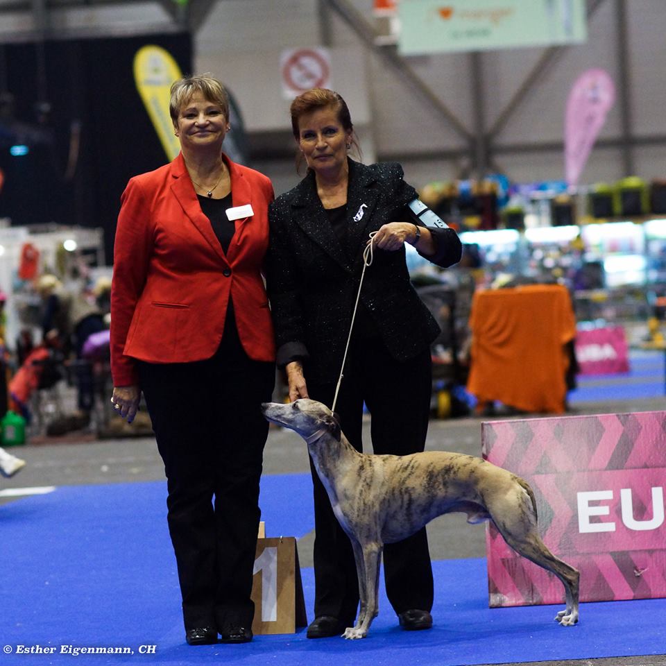 15170918_1802773289965295_5835771695361147538_n