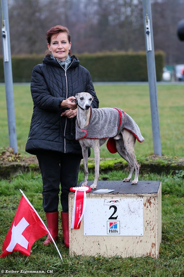 15289330_1806327739609850_4627344825457640647_o