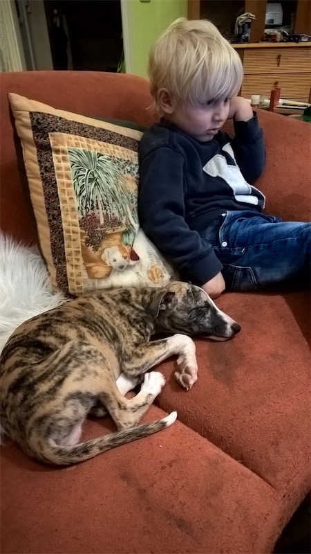 2016-10-31-photo-00000572-small