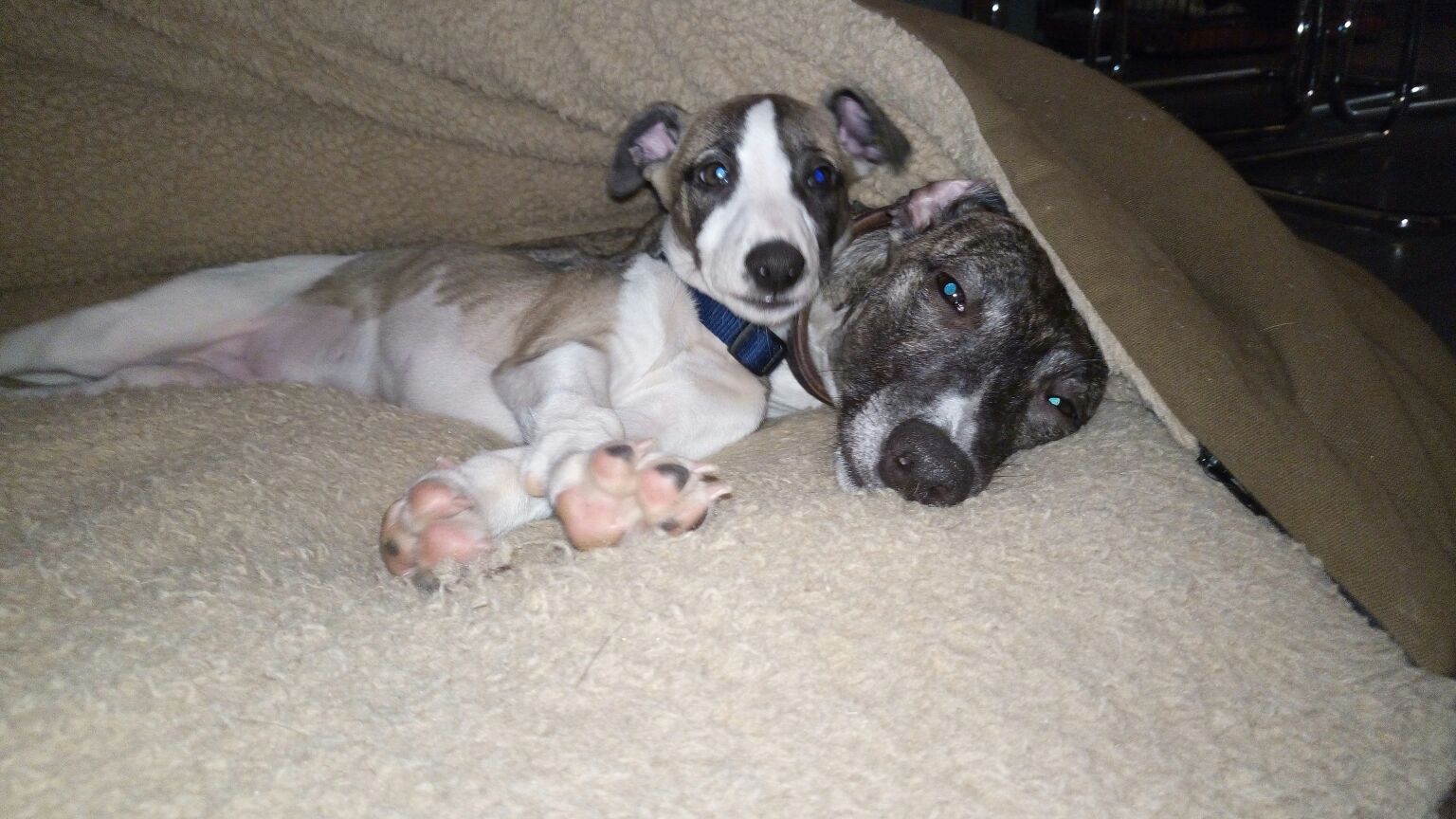 2016-11-05-photo-00000283