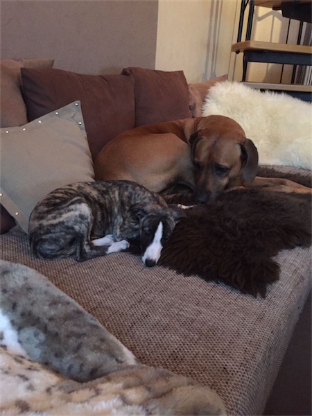 2016-11-07-photo-00000833-small