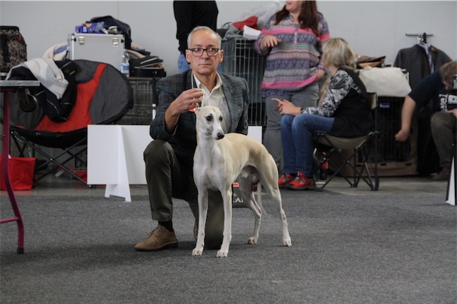 img_0084-1024x683-small