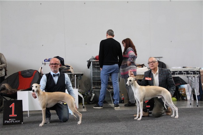 img_0120-1024x683-small